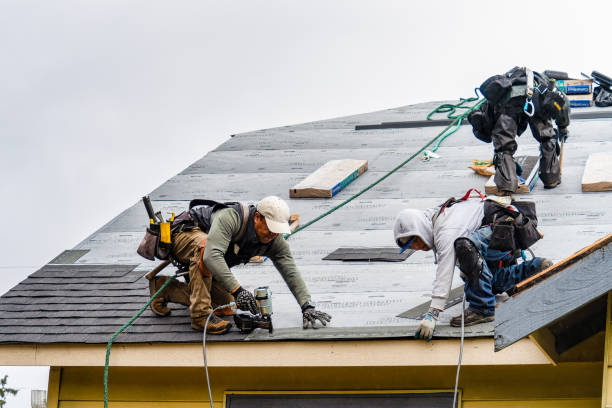 Professional Gutter Installation technician working in Bowdon, GA